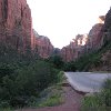 IMG 7032