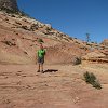 IMG 7082