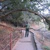 IMG 7106