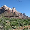 IMG 7118
