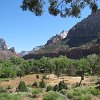 IMG 7119