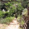 IMG 7133