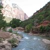 IMG 7142