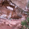 IMG 7149