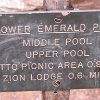 IMG 7153