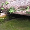 IMG 7164