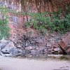 IMG 7174
