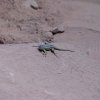 IMG 7181