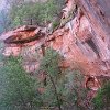 IMG 7184