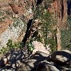 UTZionNatlPrkALTrail7
