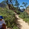 UTZionNatlPrkALTrailBW3