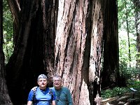 BWFAVMuirWoods