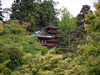 CASF 061513 1040  Japanese Tea Garden, Golden Gate Park