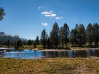 CAYO 062213 0253  Tuolumme Meadows Trail