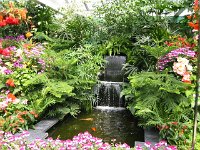 9indoor garden2.sized