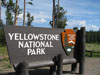 Yellowstone NP